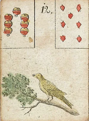 鸟